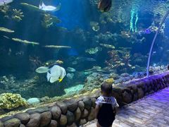 -华夏文旅海洋公园