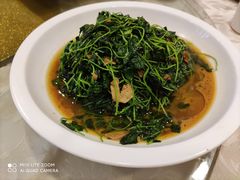 酒香金花菜-清华酒楼(盘门店)