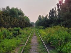 -永定河休闲森林公园