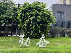 -四川大学(望江校区)