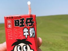 -恋山坝上草原