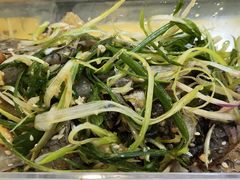 -无影脚佛山陈氏盲公丸始创店(飞鸿街店)