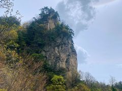 -王顺山国家森林公园