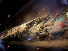-汉景帝阳陵博物院