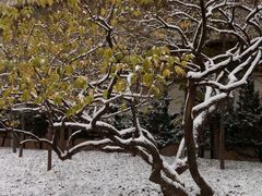-山东农业大学(岱宗校区)