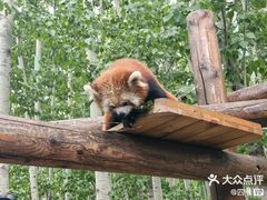 -北京野生动物园