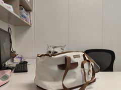 -艾贝尔宠物医院 ·中兽医·宠保定点(北门桥店)