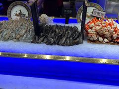 -加餐海鲜自助餐厅(福清万达店)