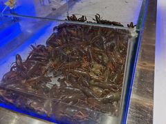 -集杰尚品海鲜烤肉火锅自助餐厅(经区九龙城店)
