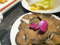 -南门四季铜锅涮肉(左家庄店)