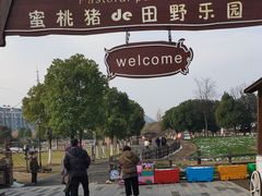 -田园东方蜜桃村的田野营地