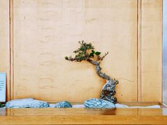 -阅读家(南海天河城店)