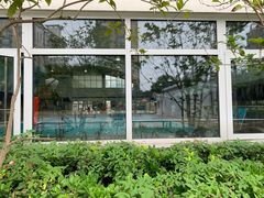 -沈坚强游泳俱乐部(长征分部)