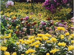 -共青国家森林公园-售票处