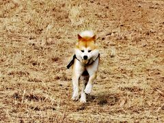 -瀛海足球主题公园