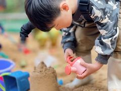 -海联小龙鱼幼儿园