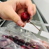 去山姆办年货啦！2J的车厘子真的又大又甜