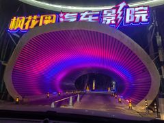 -枫花园汽车电影院(朝阳公园店)