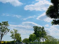 -天津东丽湖风景区