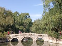 -上海共青森林公园