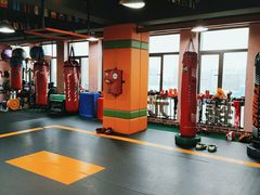 -臻元搏击格斗泰拳拳馆(港隆店)