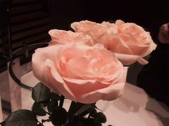 -丽思卡尔顿酒店泳池(金融街店)