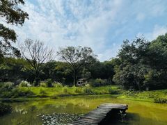 -杭州植物园
