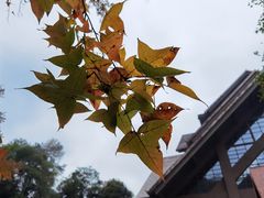 -韶关经律论国际酒店温泉