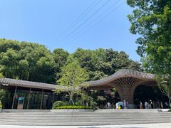 -东明山森林公园