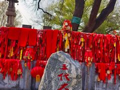 -大槐树寻根祭祖园