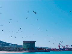-海驴岛(荣成市)