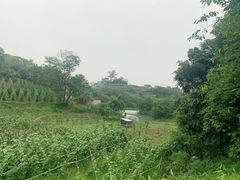 -小南海站