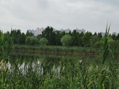 -昆山城市生态森林公园