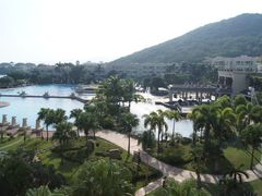 仙人掌-三亚亚龙湾凯莱仙人掌度假酒店