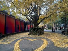 -成都武侯祠博物馆