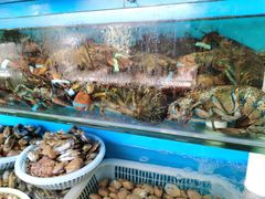 水产区-港畔赶海蒸汽海鲜烧烤自助(仙螺岛店)