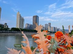 -闽江夜游台江旅游码头