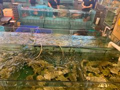 水产区-猪肉婆私房菜(容桂总店)