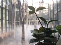 -intime coffee(芝麻街店)