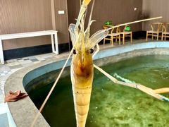 -光头佬室内钓虾场·烧烤·团建·亲子(中山八路店)