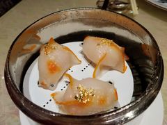 蓝天使蝦金魚饺-8餐厅(新葡京酒店)