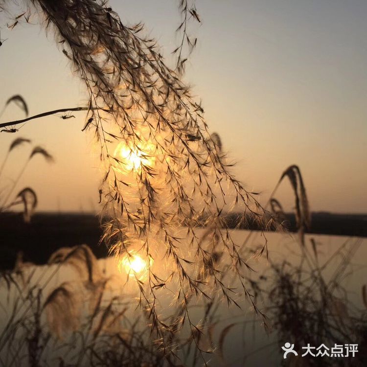 武汉小众景点沉湖湿地公园一日游攻略