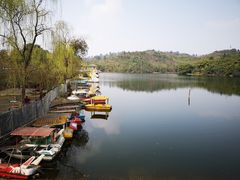 -中国观音故里广德景区