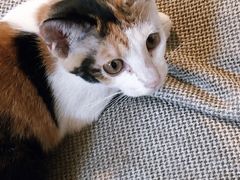 -麦田书店(国防路店)