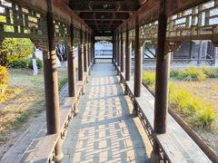 -善化寺