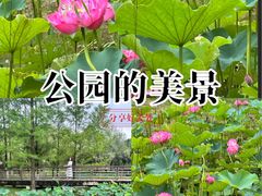 -沐仙湖湿地公园
