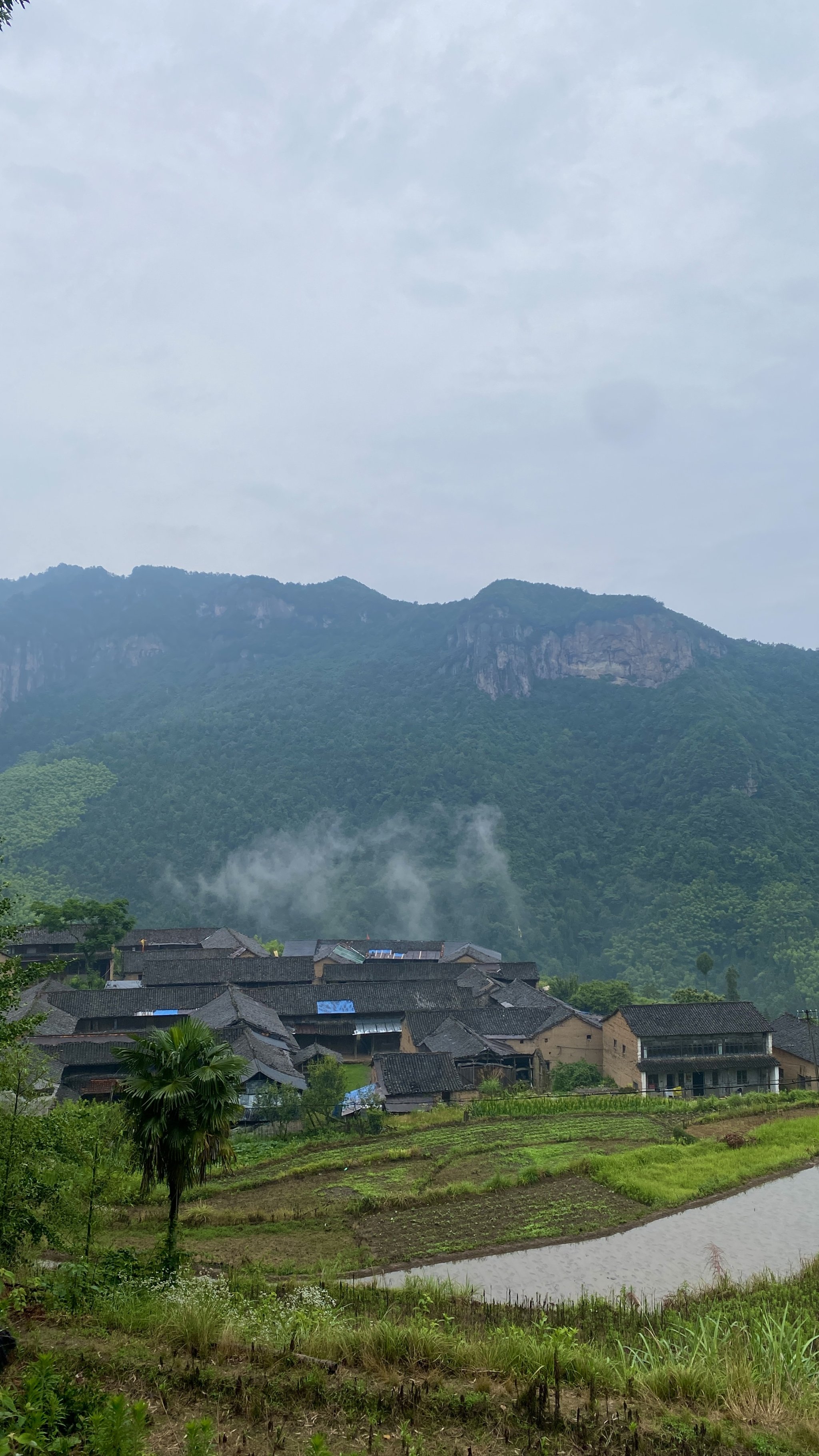 仙居公盂村图片