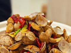 辣炒青岛小花蛤-船歌·鱼水饺青岛菜(国贸商城店)