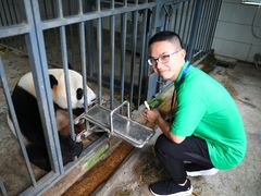 -都江堰中华大熊猫苑