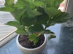 -爱乐蒙艺术·古筝 钢琴 声乐(科华校区)